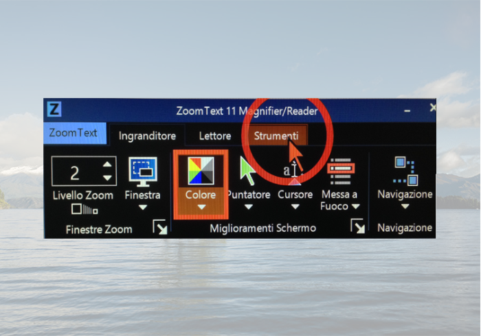 immagine rappresentante il cursore e i contrasti di ZoomText